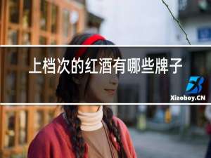 上档次的红酒有哪些牌子