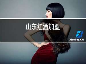 山东红酒加盟