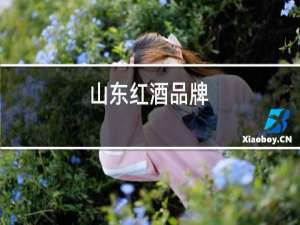 山东红酒品牌