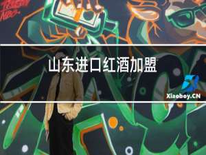山东进口红酒加盟