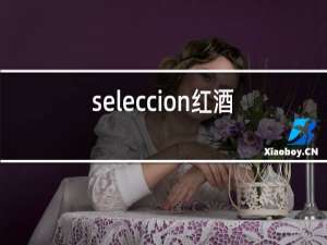 seleccion红酒档次