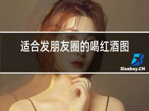 适合发朋友圈的喝红酒图片