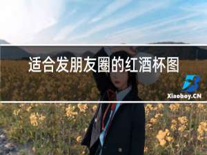 适合发朋友圈的红酒杯图片