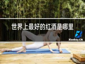 世界上最好的红酒是哪里