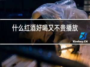 什么红酒好喝又不贵播放好不好