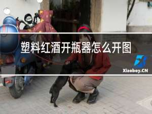 塑料红酒开瓶器怎么开图解