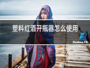 塑料红酒开瓶器怎么使用图解