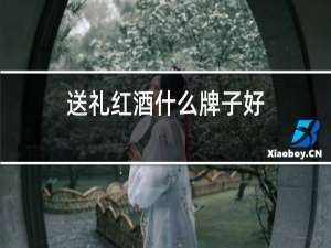 送礼红酒什么牌子好