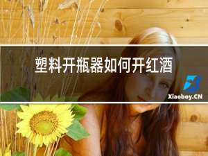 塑料开瓶器如何开红酒