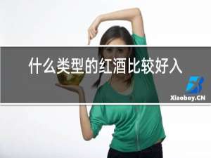 什么类型的红酒比较好入口