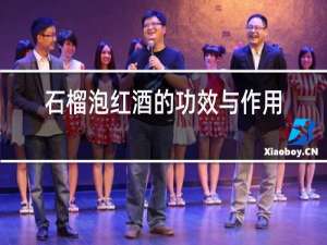 石榴泡红酒的功效与作用