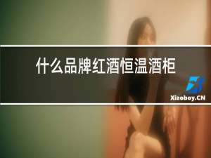 什么品牌红酒恒温酒柜