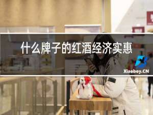 什么牌子的红酒经济实惠又好喝