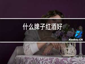 什么牌子红酒好