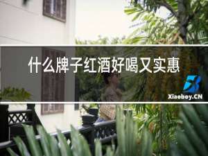 什么牌子红酒好喝又实惠