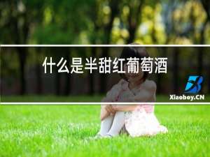 什么是半甜红葡萄酒