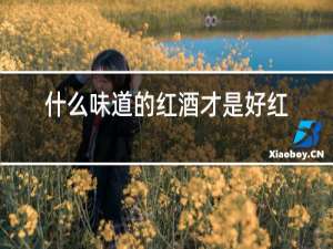 什么味道的红酒才是好红酒