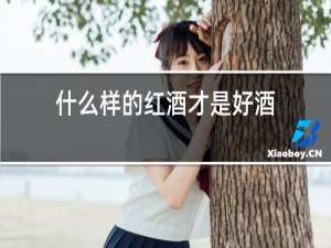 什么样的红酒才是好酒