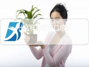 什么样的红酒口感好