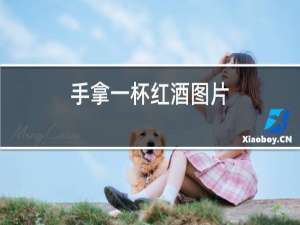 手拿一杯红酒图片