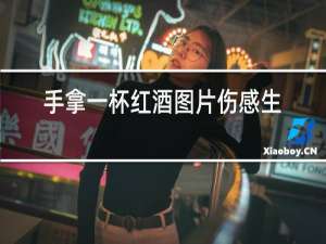 手拿一杯红酒图片伤感生活照