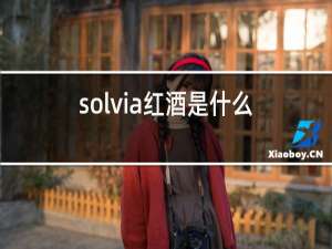 solvia红酒是什么品牌