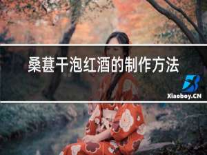 桑葚干泡红酒的制作方法