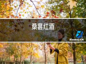 桑葚红酒