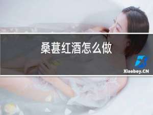 桑葚红酒怎么做