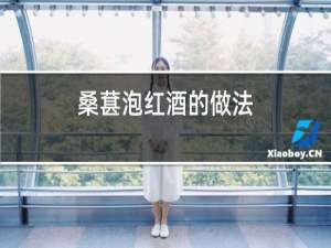 桑葚泡红酒的做法