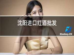 沈阳进口红酒批发