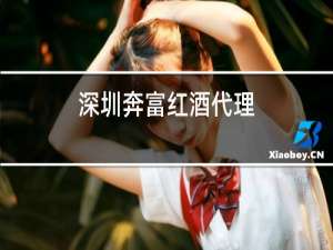 深圳奔富红酒代理