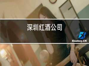 深圳红酒公司