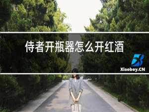侍者开瓶器怎么开红酒