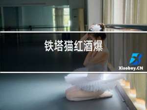 铁塔猫红酒爆