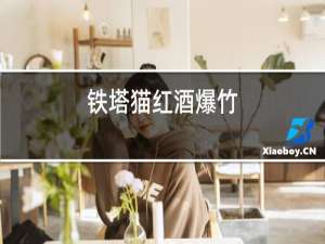 铁塔猫红酒爆珠