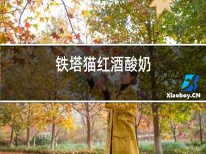 铁塔猫红酒酸奶