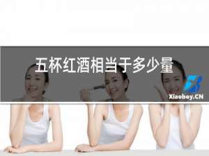 五杯红酒相当于多少量