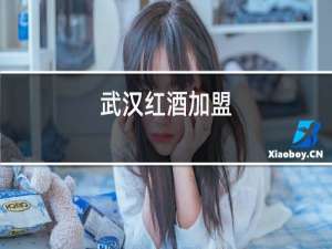 武汉红酒加盟