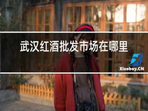 武汉红酒批发市场在哪里