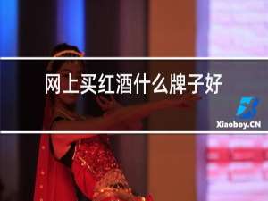 网上买红酒什么牌子好
