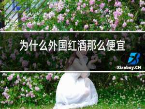 为什么外国红酒那么便宜