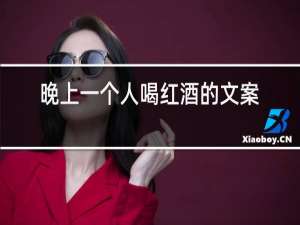 晚上一个人喝红酒的文案