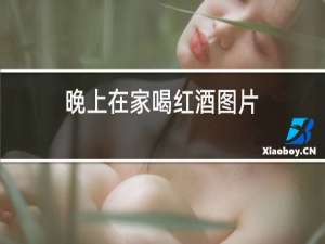 晚上在家喝红酒图片