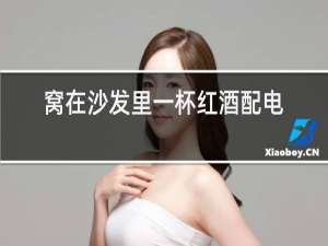 窝在沙发里一杯红酒配电影