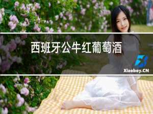 西班牙公牛红葡萄酒