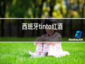 西班牙tinto红酒