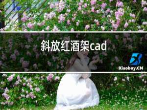 斜放红酒架cad
