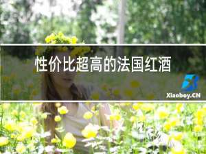 性价比超高的法国红酒
