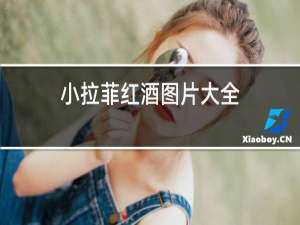 小拉菲红酒图片大全